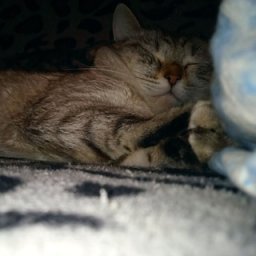 Оксана Оксана