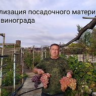 🍇Вячеслав 🍇Заказ  Винограда 🍇
